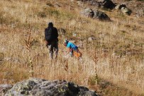 Artabel'in Sürüngen Çeşitliliği Belirleniyor