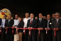 ÇUKOBIRLIK - ÇUKOBİRLİK'te Uygulamalı Tarım Fuarı