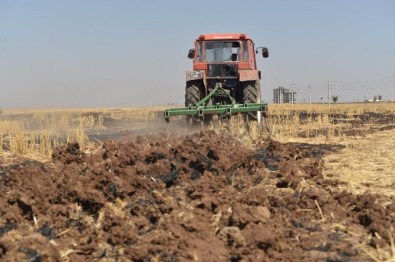 Diyarbakır Büyükşehir Belediyesinden Kadınlara İstihdam