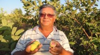 PROSTAT KANSERİ - 'Guava' Kansere Karşı Koruyucu