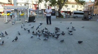Burhaniye'de Güvercin Besleme İmecesi