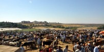 KURBANLIK HAYVAN - Kahta'da Kurbanlık Satışları Hız Kazandı