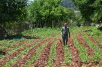 MUSTAFA BIRCAN - Organik Ve İyi Tarım Destekleme Ödemeleri Başladı
