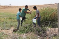EKMEK TEKNESI - Mayından Çıkan Derman