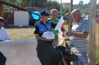 KURBANLIK HAYVAN - Polisten Kurban Satıcılarına Sahte Para Uyarısı