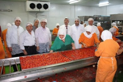 Vali Bektaş Gıda Üretim İşletmelerinde İncelemelerde Bulundu