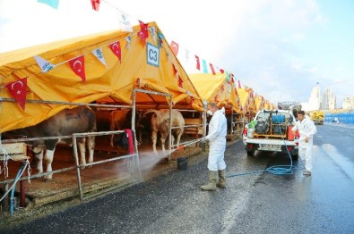 Başakşehir'de Kokusuz, Hijyenik Kurban Alanı