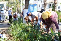 NEYZEN TEVFIK - Bodrum Yeşilleniyor