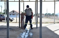 ÜCRETSİZ ULAŞIM - Çanakkale Kurban Bayramına Hazır