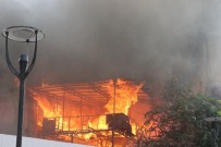 HARABE - Hatay'da Korkutan Yangın