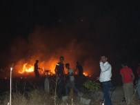 ERCAN ÖZDEMIR - Malazgirt'te Mezarlık Yangını