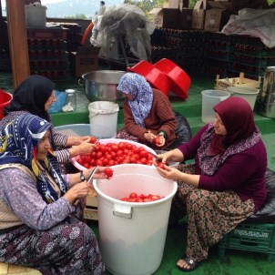 Üreten Kadınlar Bursa'ya Renk Katıyor