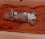 Aslan Sendromlu Mustafa Kemal Bebek Kurtarılamadı