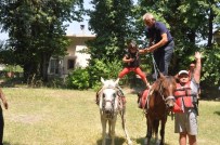 OKÇULAR - (Atlarla Doğa Turu