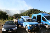 ORMAN ARAZİSİ - Düzce'de Korkutan Yangın