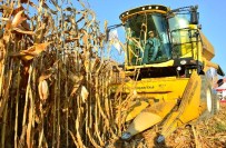 Girmen Açıklaması 'Mısır Üreticisi Kilo Başına 50 Kuruş Zararda'