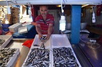 Karadeniz'e Hamsi Erken Geldi