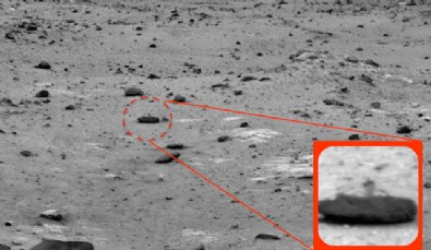 Mars'ta görüntülenen canlı şaşırttı