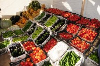 SEBZE ÜRETİMİ - Vali Taşyapan Sebze Üretim Tarlalarını Gezdi