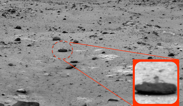 Mars'ta görüntülenen canlı şaşırttı