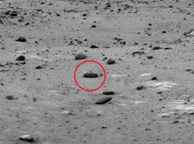 Mars'ta görüntülenen canlı şaşırttı