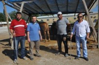 ÖZEL TİM - Boğa Yakalama Timi