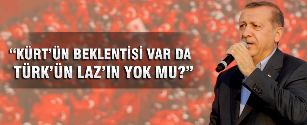 Cumhurbaşkanı Erdoğan: Türkiye'de Kürt sorunu yok