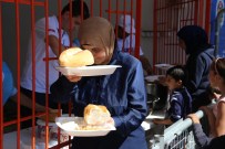 SURİYELİ SIĞINMACILAR - Edirne'deki sığınmacıların son durumu