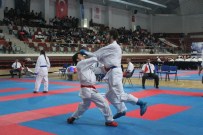 JAKARTA - Endonezya'da Yapılacak Dünya Şampiyonası İçin Yalova'da 200 Karateci Tatamiye Çıktı