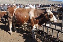 Erzurum Besicilikte 1'İnci Sırada