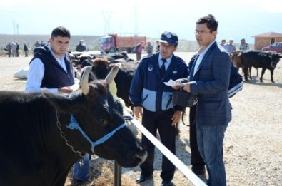 Hayvan Pazarında Denetimler Devam Ediyor