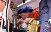 ALI BAKOĞLU - Köpeğin Saldırısına Uğrayan Kaymakam Hafif Yaralandı