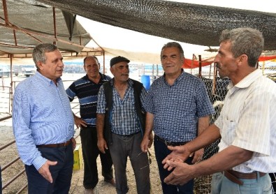 Muratpaşa Kurban Bayramı'na Hazır