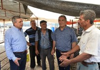 KURBANLIK HAYVAN - Muratpaşa Kurban Bayramı'na Hazır