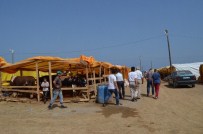 KURBAN FİYATLARI - Trabzon'da Kurbanlık Satışları Hızlandı