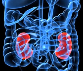 65 Yaş Üstü Her 5 Erkekten Biri !