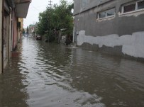 AYDINLATMA DİREĞİ - Adana'da Yağmurda Koyunlar Telef Oldu, Morgu Su Bastı