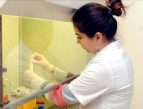 CİLT KANSERİ - Akciğer kanserinde umut veren çalışma