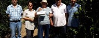 MUSTAFA BIRCAN - Aydın'da Turunçgilller İçin Akdeniz Meyve Sineği Mücadelesi Başladı