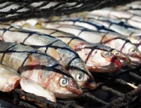 OMEGA - Balık yemek, depresyonu önlüyor