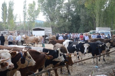 Darende Hayvan Pazarı'nda Hareketlilik