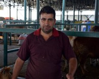 Kurbanlık Hayvanlarda İndirim