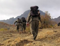 HAKKARİ DAĞLICA - PKK'nın üst düzey yöneticisi öldürüldü