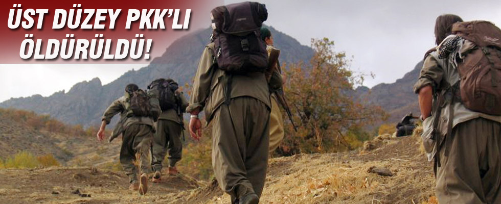 PKK'nın üst düzey yöneticisi öldürüldü