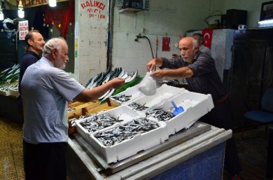 Balık Bollaştı Esnafın Yüzü Güldü