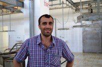 KURBANLIK HAYVAN - Bitlis'te Mezbahaneler Bayrama Hazır