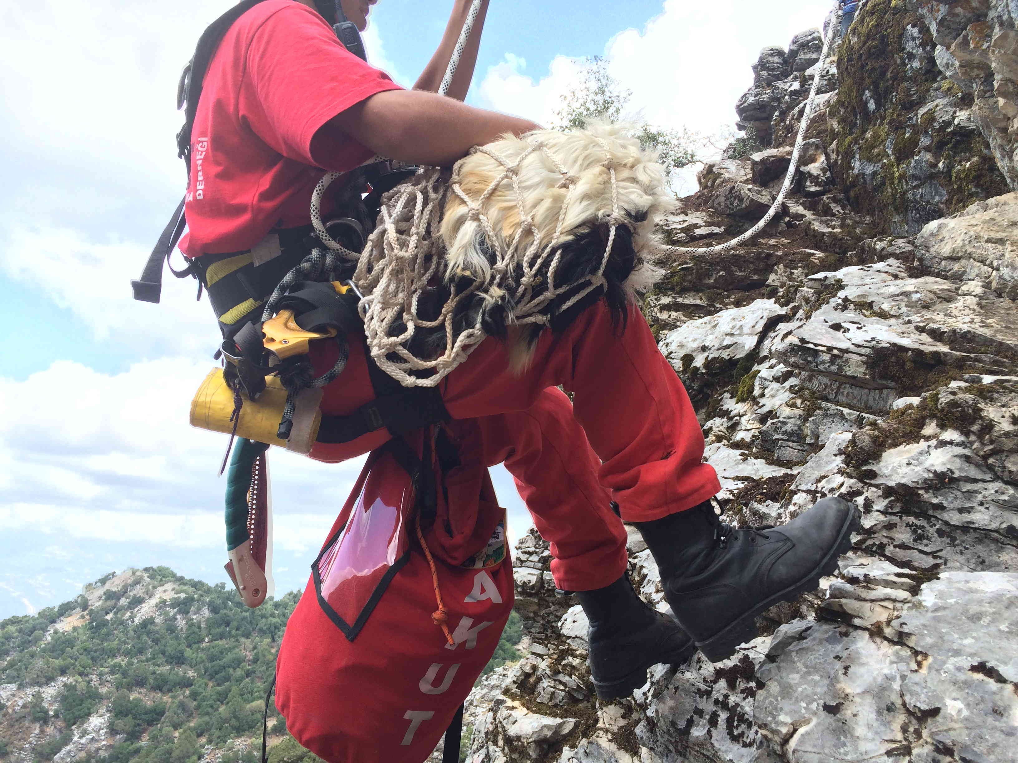AKUT operasyon malzemelerini eşekle taşıdı