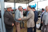 KURBANLIK SATIŞI - Başkan Özaltun, Kurban Pazarını Ziyaret Etti