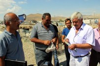 KURBANLIK HAYVAN - Kesob Sahte Parayı Önlemek İçin Besicilere Kalem Dağıttı