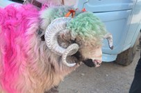 Kurban Pazarına Damgasını Vurdu